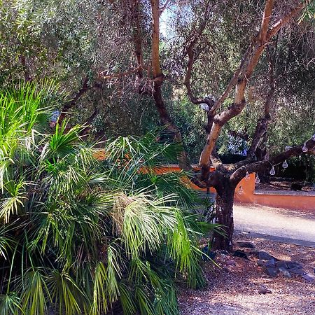 罗马Locazione Turistica Dream House Marzia别墅 外观 照片