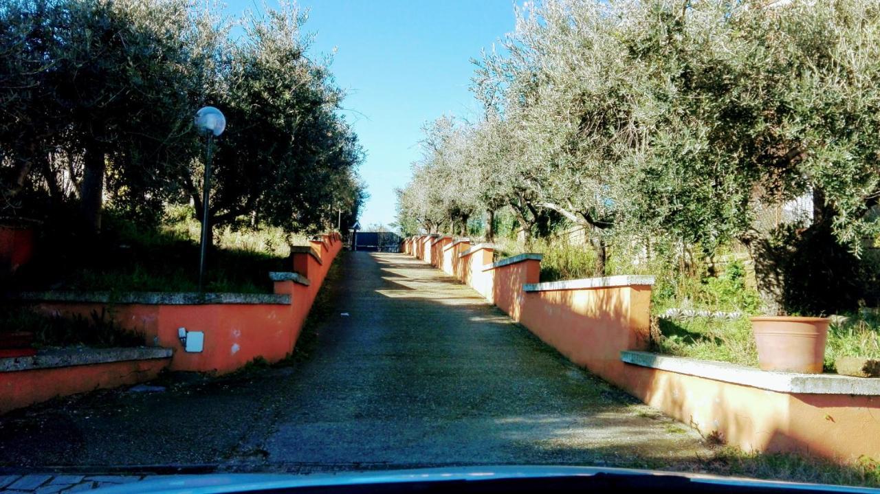 罗马Locazione Turistica Dream House Marzia别墅 外观 照片