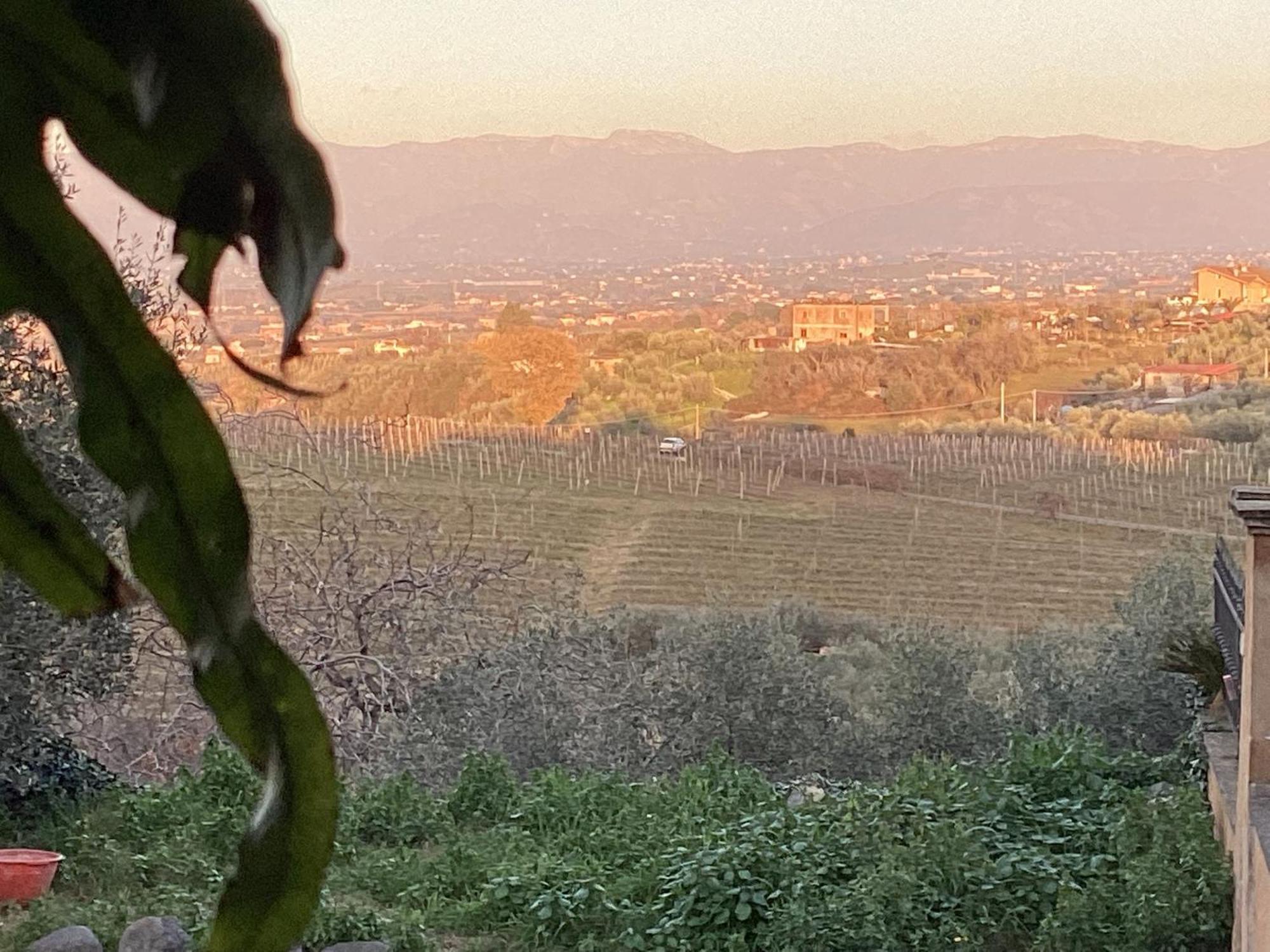罗马Locazione Turistica Dream House Marzia别墅 外观 照片